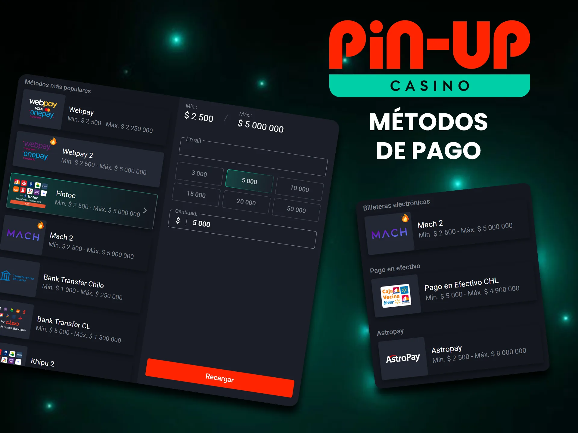 Pin-Up ofrece una gran variedad de sistemas de pago.