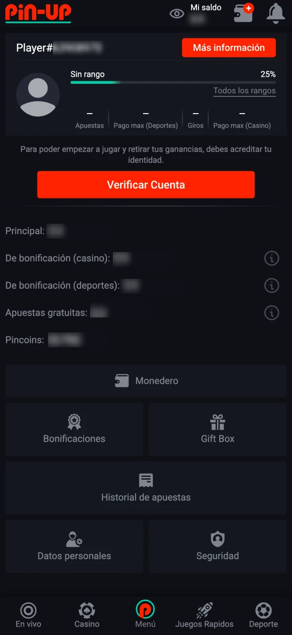 Confirma tu cuenta en la sección de perfil Pin-Up.