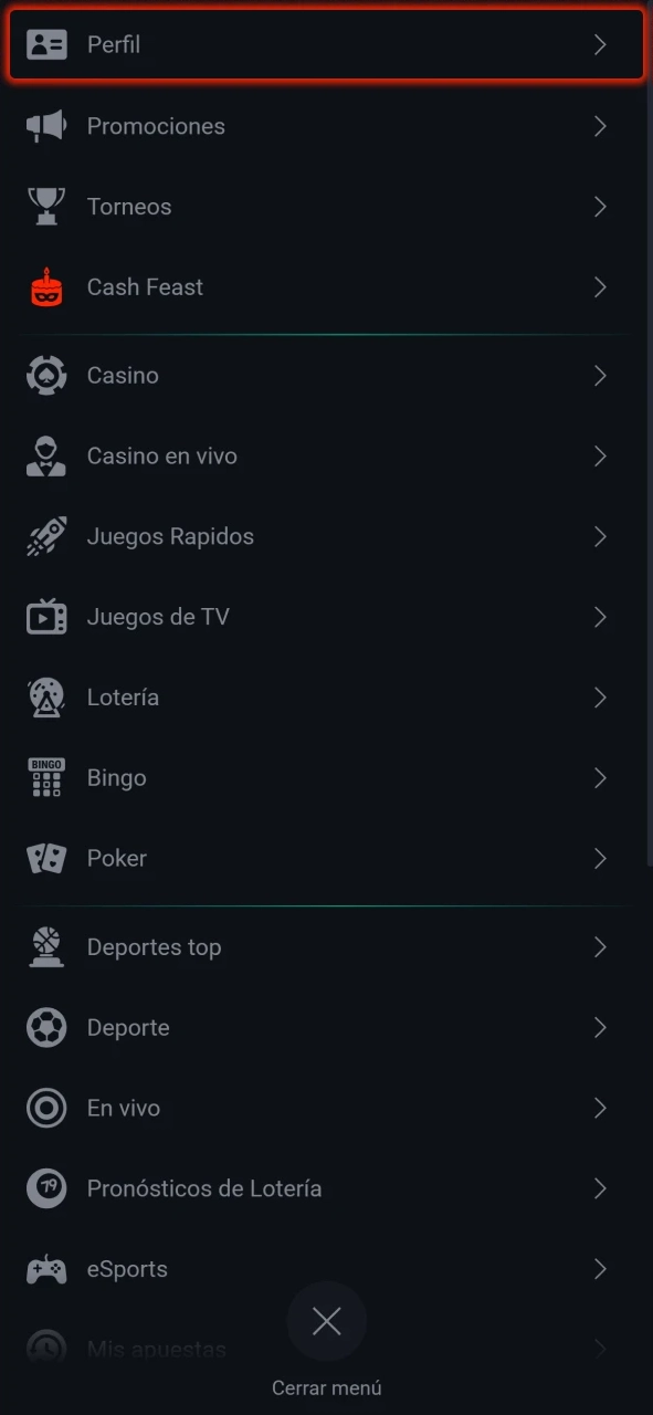 Ve a la configuración de tu perfil Pin-Up.