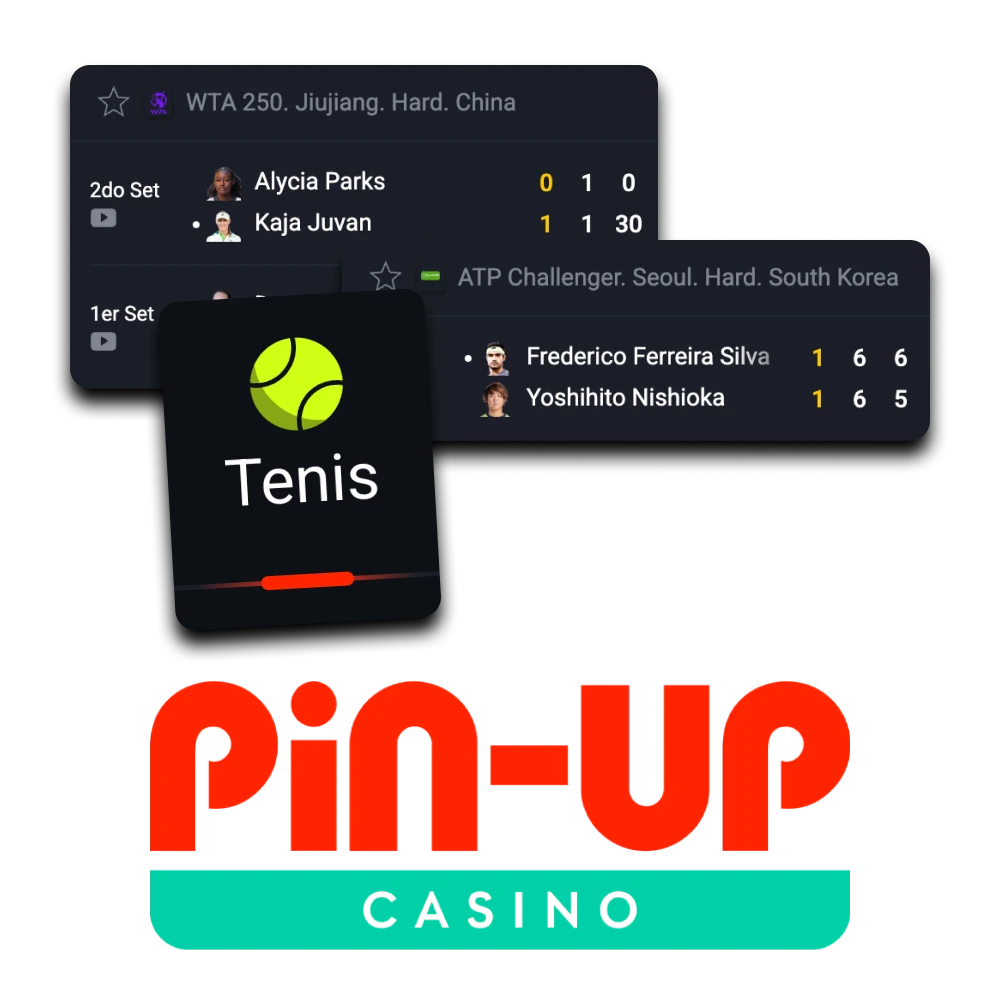 Recomendamos apostar al tenis con Pin Up.